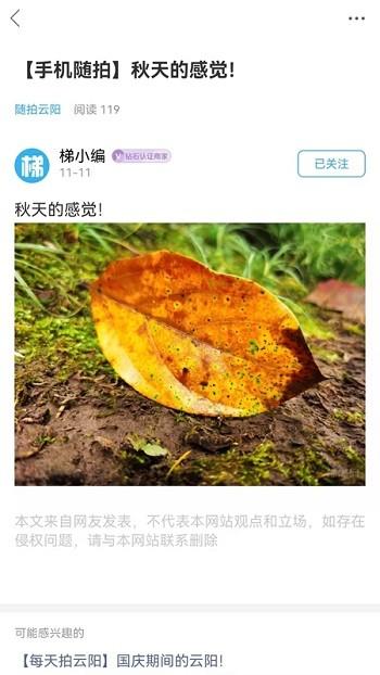 梯城网市app下载,梯城网,美食app,云阳app